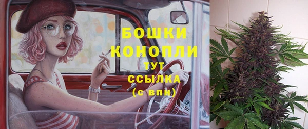 дмт Богданович