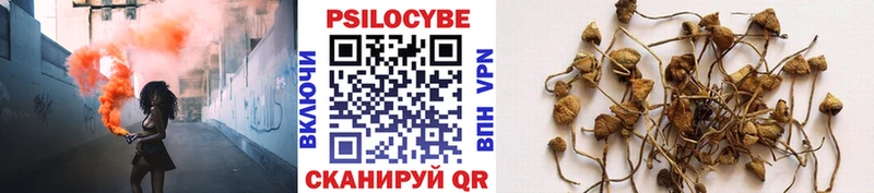 Псилоцибиновые грибы прущие грибы  Качканар 